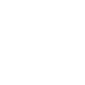 selduck_icon