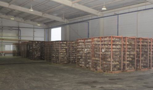 facility_img