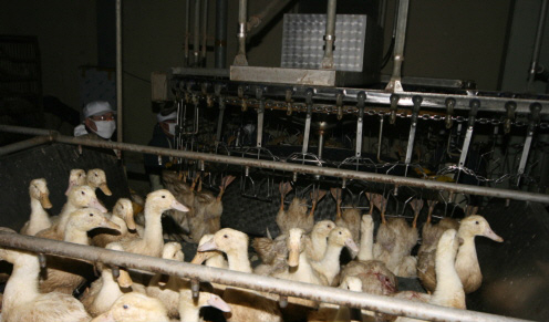 facility_img