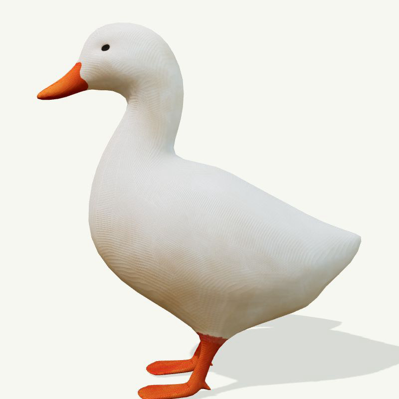 White duck model fallback image